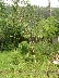 DSC07303.JPG