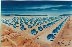 solar-field.jpg