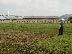 DSC04613.JPG