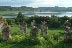 DSCF8731.jpg