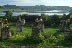 DSCF8741.jpg