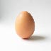 eggs01 copy.jpg